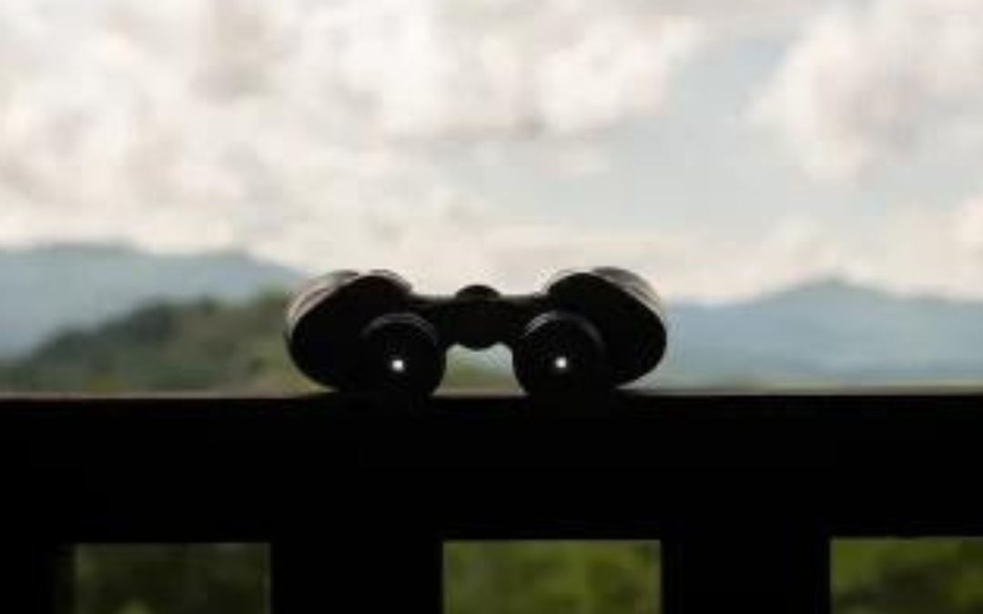 binoculars