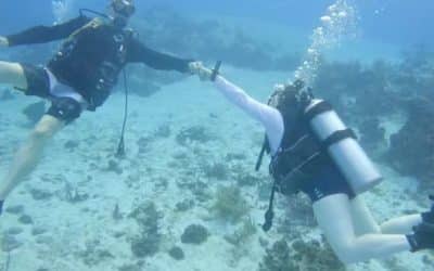 scuba