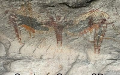 Texas State Parks – 7 Themes