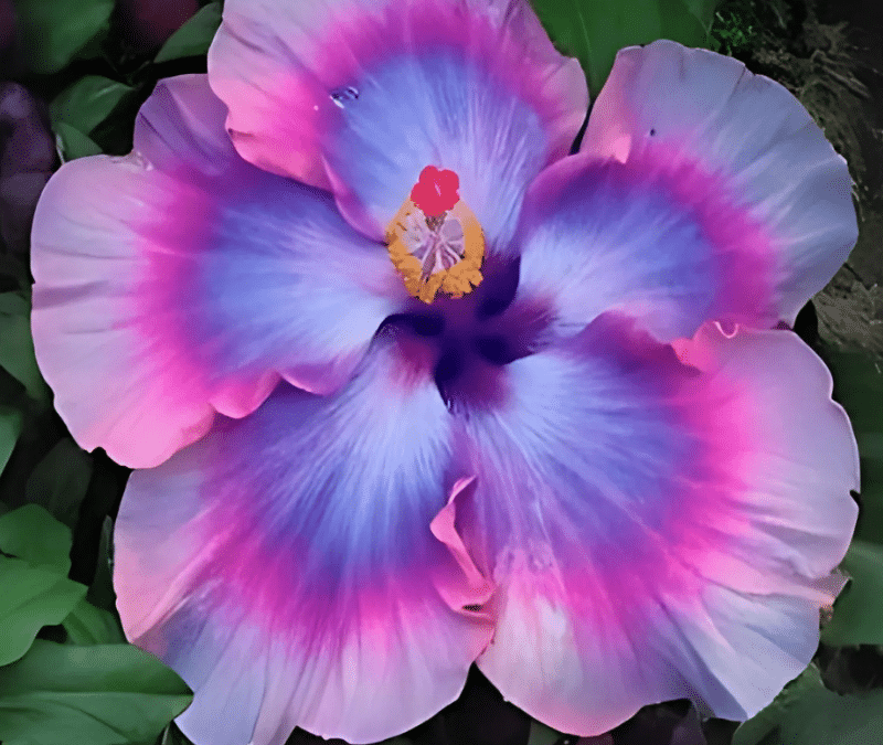 Stroll thru the Garden
