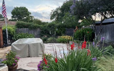 The Garden