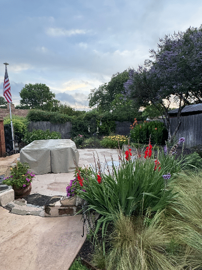 The Garden